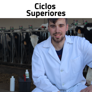 Ciclos Medios